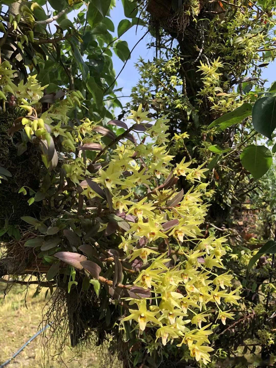 能被岁月眷顾的，一定是热爱生活的人，愿我们此生尽兴，赤诚善良! ​​​