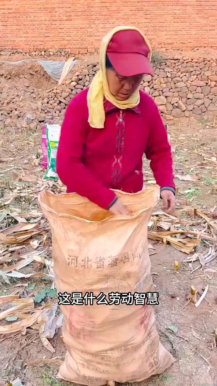 ·这是什么劳动智慧？这是地球借力小技巧，仅凭一根竹子就能把树苗抬回家。
·这是什