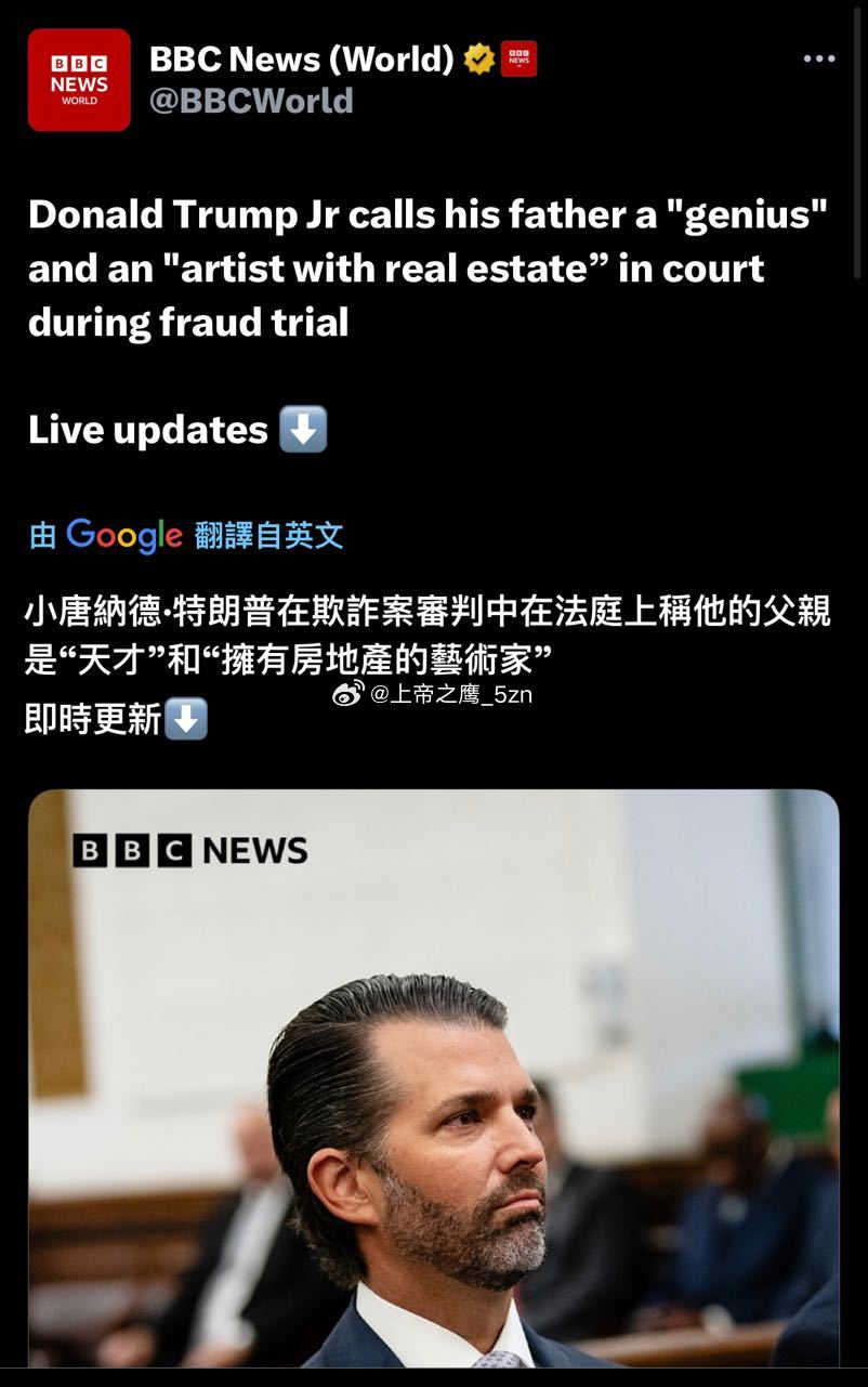 小懂王称自己老爹是个天才艺术家 ​​​