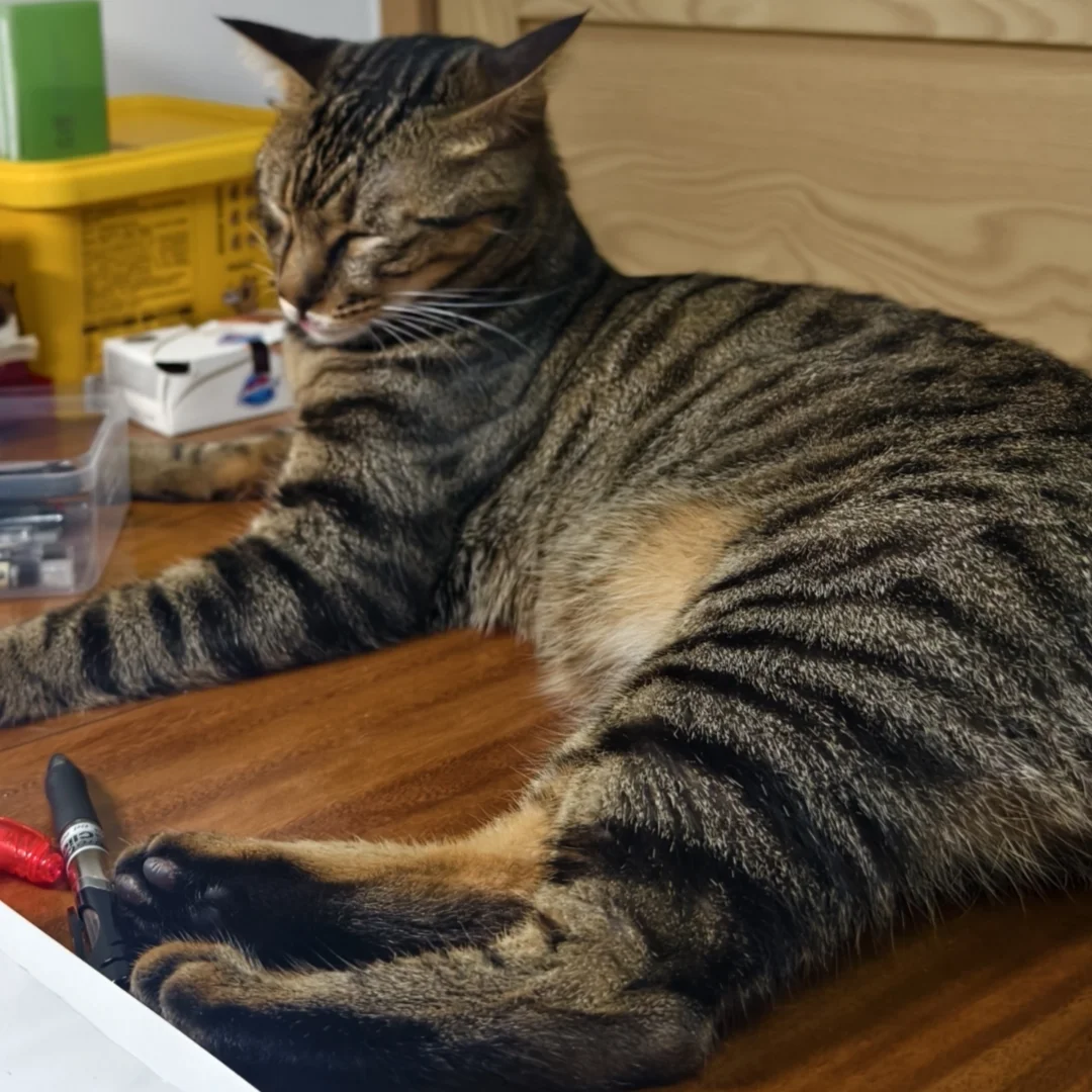 我又开始异地恋了