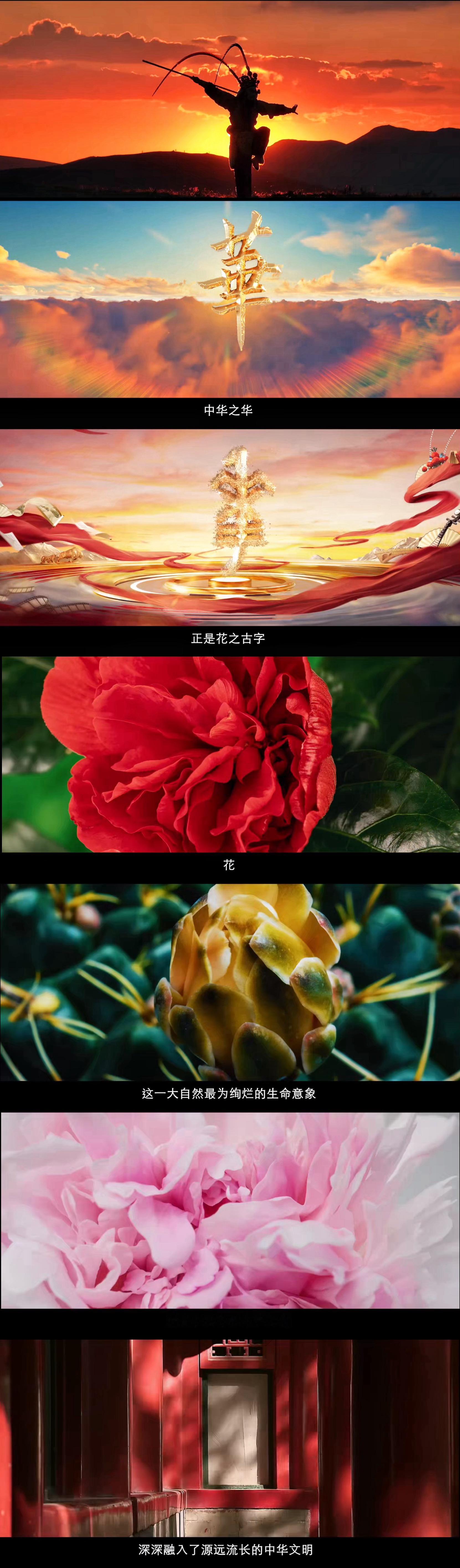 总台微短剧#四时花开# 将花与戏曲进行了融合性的表现，是属于我们中国人的浪漫了！