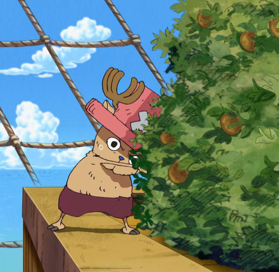 海贼王 海贼王 此物萌之 