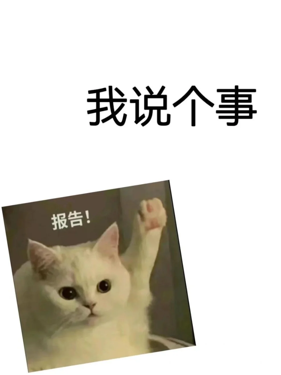 📣乌鲁木齐11月23号至12月1号，有大羊毛可薅