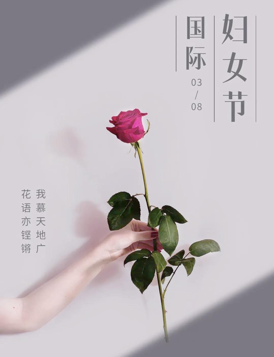 明天是三八节，有谁知道这个节日有多少个称呼？
从1908年3月8日美国纺织工人罢