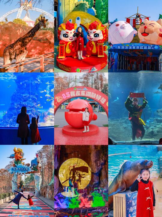 春节带娃游东湖🧨不可错过的亲子游玩路线