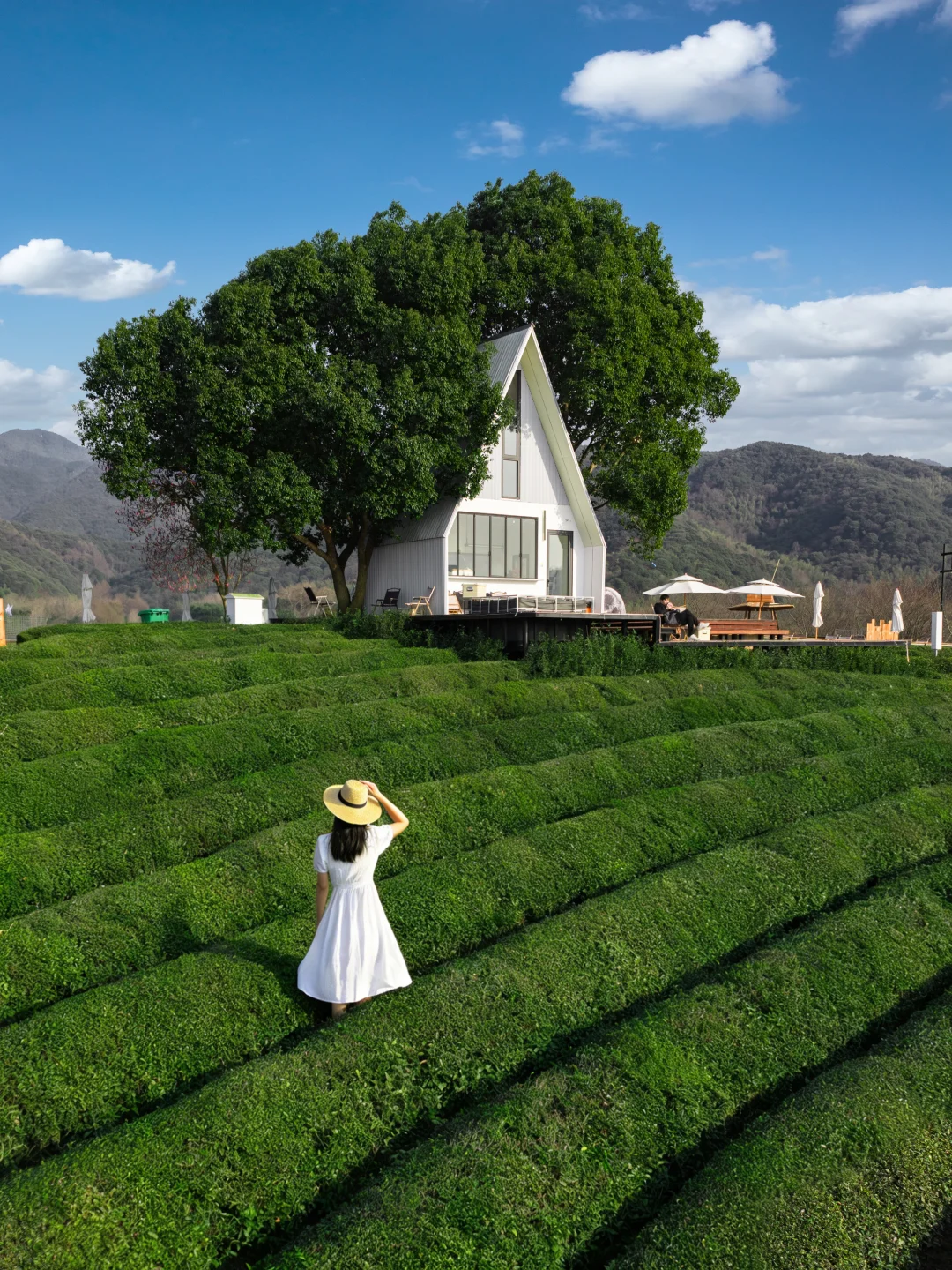 上春山‼️我拍到了春日的明媚和宿命感🍃