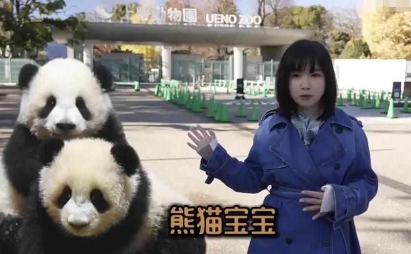上野大熊猫要返回中国，很多日本人赶到动物园告别，对熊猫恋恋不舍。52年来，日本社
