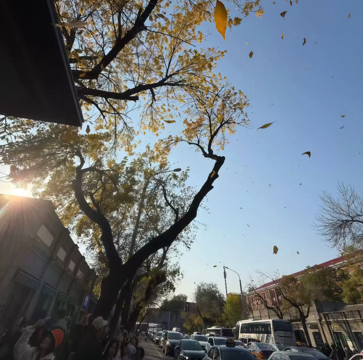 WaChat头像｜头像搭配｜女生头像｜高清无水印｜审美积累 