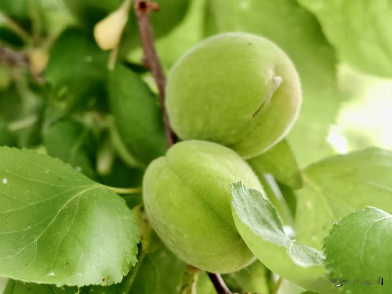 我老公一个初中同学，真是个奇葩。

这个同学毕业之后就去了外地上班，但他每次回来