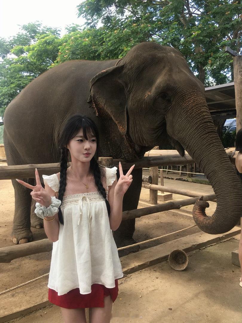 大象你不可爱 