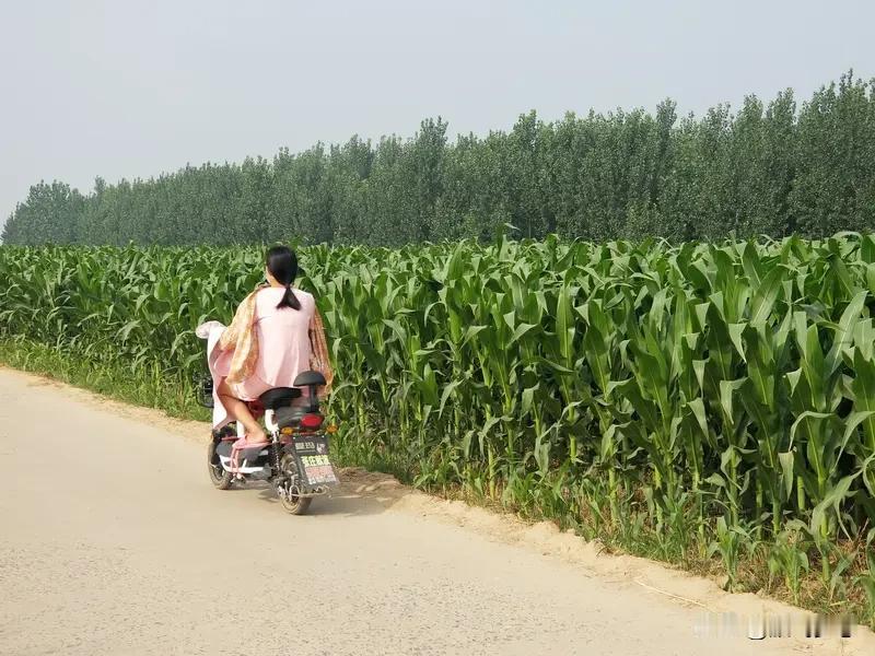 在农村，女孩那可真是成了“抢手货”，就像超市里打折的限量商品，大家都争着抢。十几