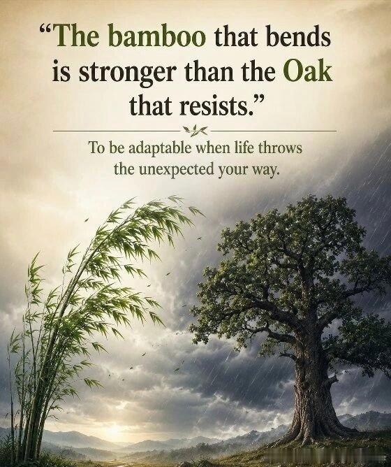 "The bamboo that bends is stronger than 