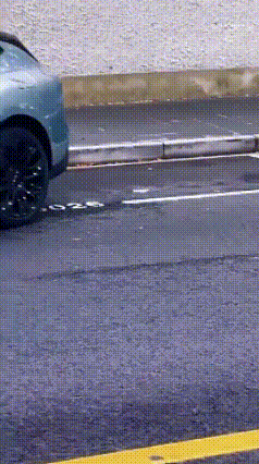 女子为吸睛竟把狗放主驾开自动泊车 旁边有人在拍短视频，估计是为了起号，现在全网都