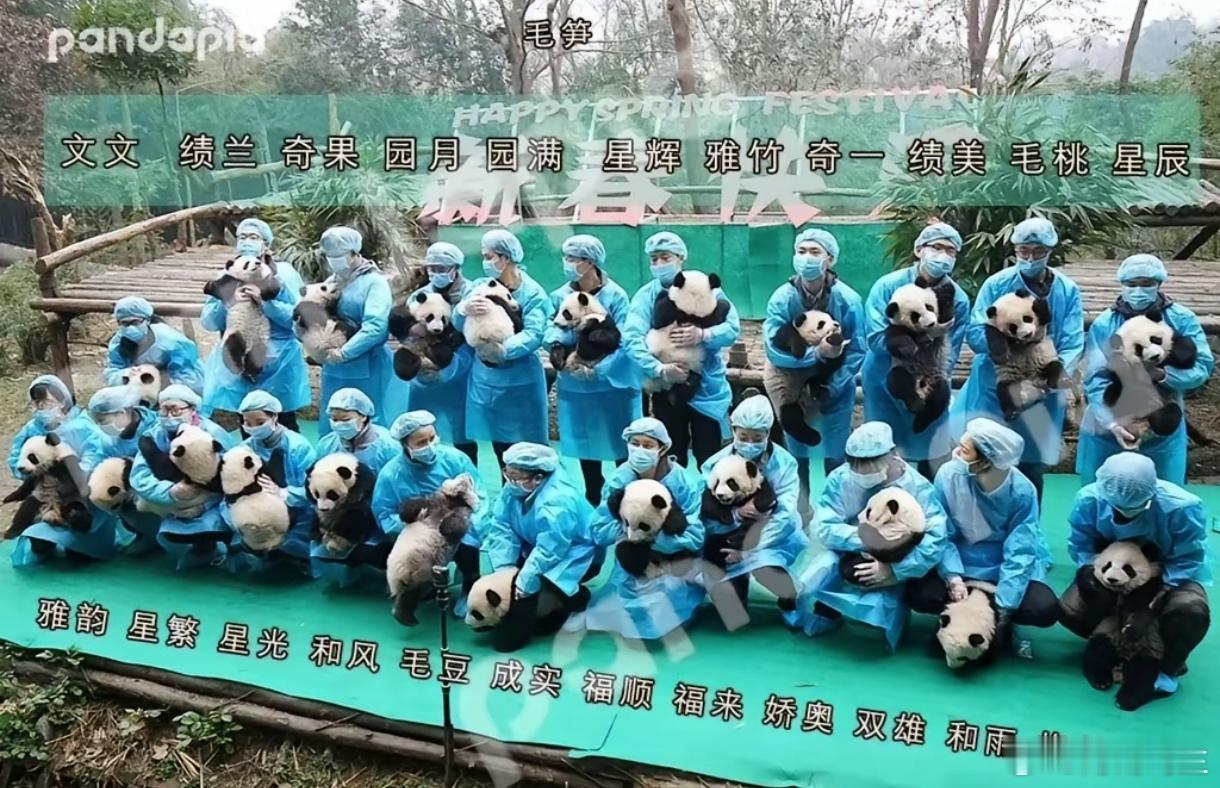 熊猫：在哪儿不是合影[666][666] 