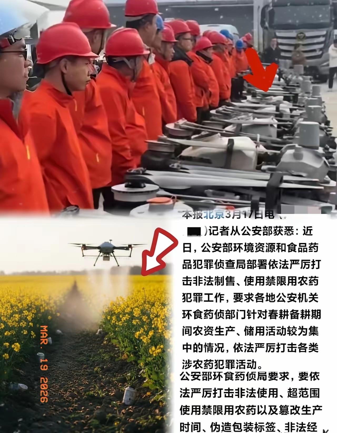 油菜花开得正旺，

蜜蜂成片死去，

无人机还在天上飞。

这事不是头一回了，但