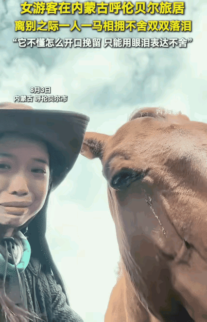 “太有灵性了！”
      呼伦贝尔草原这一幕，不知道看哭了多少网友。女子旅居