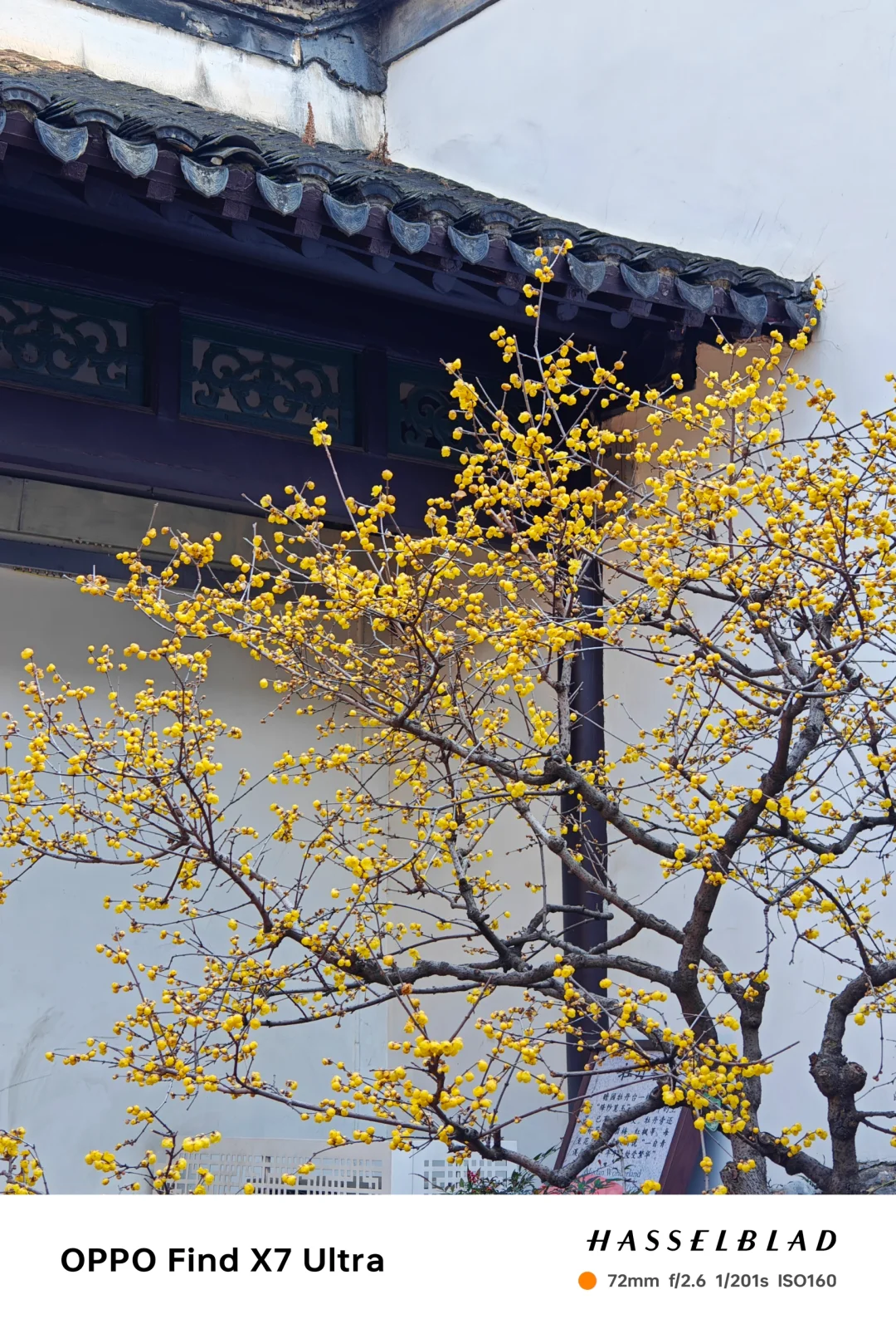 你可以永远相信老祖宗的审美！