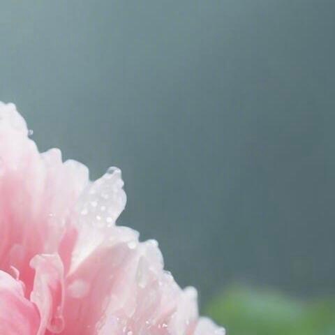 阳光信用  💫阳光信用  💫每日一善人生如一场修行。得意时，一日看尽长安花；