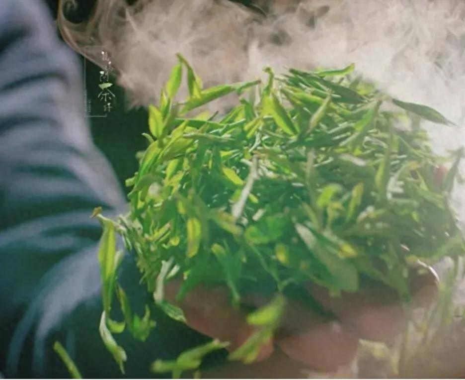 今年春日最火的经济风口，当属春茶！品质顶尖的明前龙井，居然卖到上万元一斤，还被抢