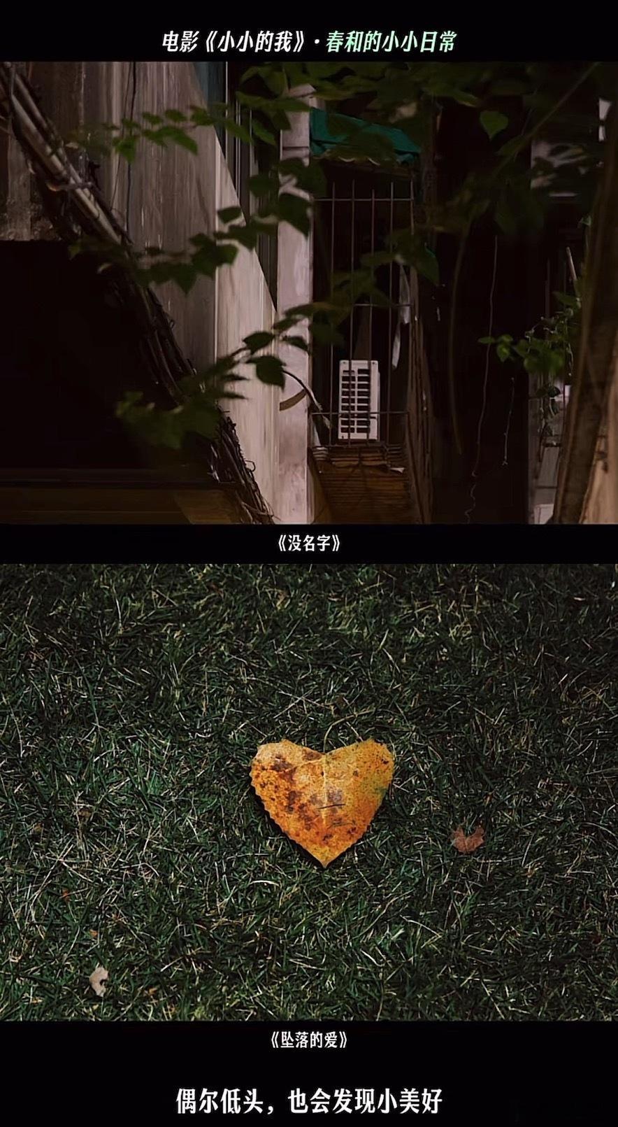 小小的我直戳心窝子  《小小的我》以脑瘫患者为视角，展现家庭温情与生命力量，妈妈