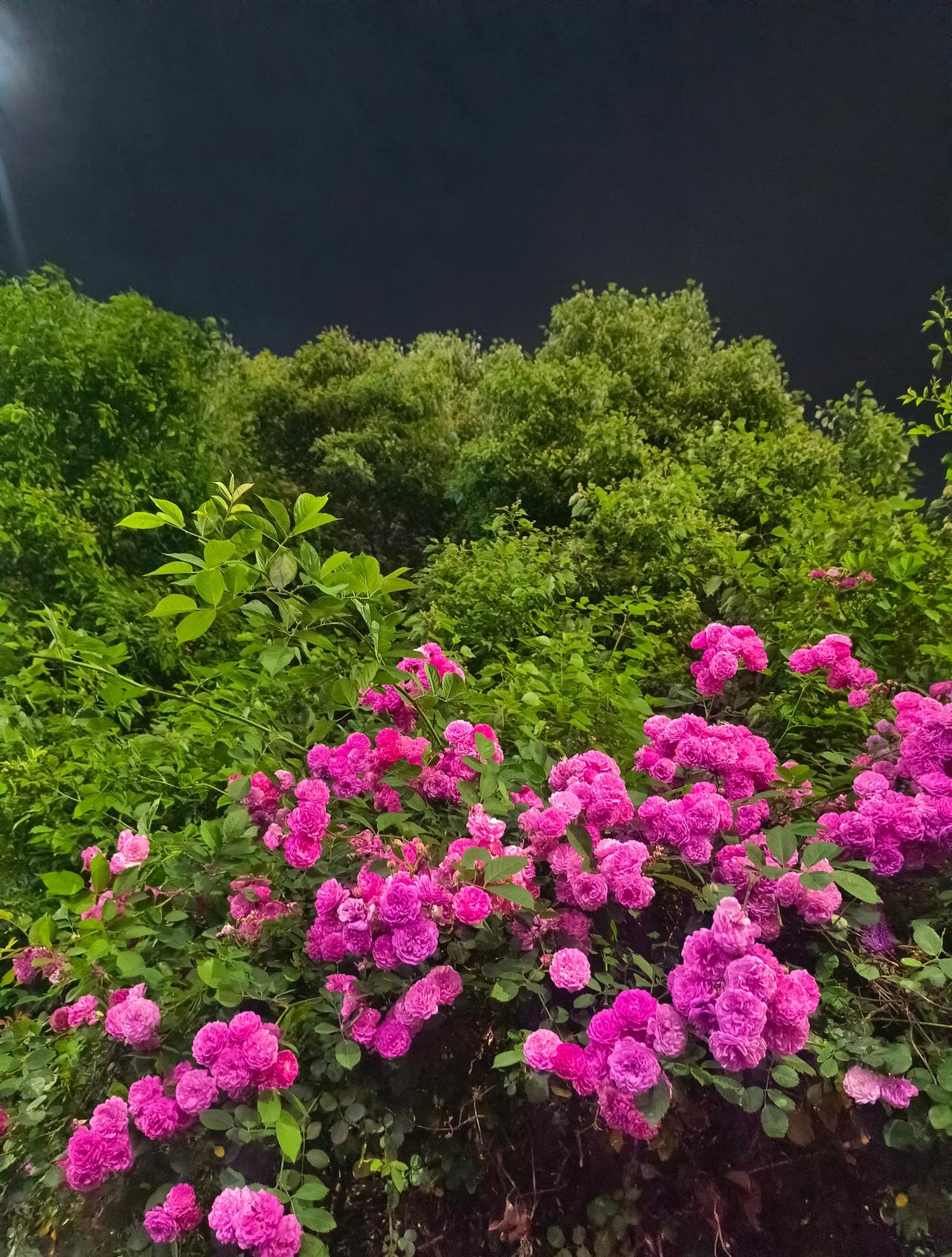 一天经历春夏秋，不错 ​​​