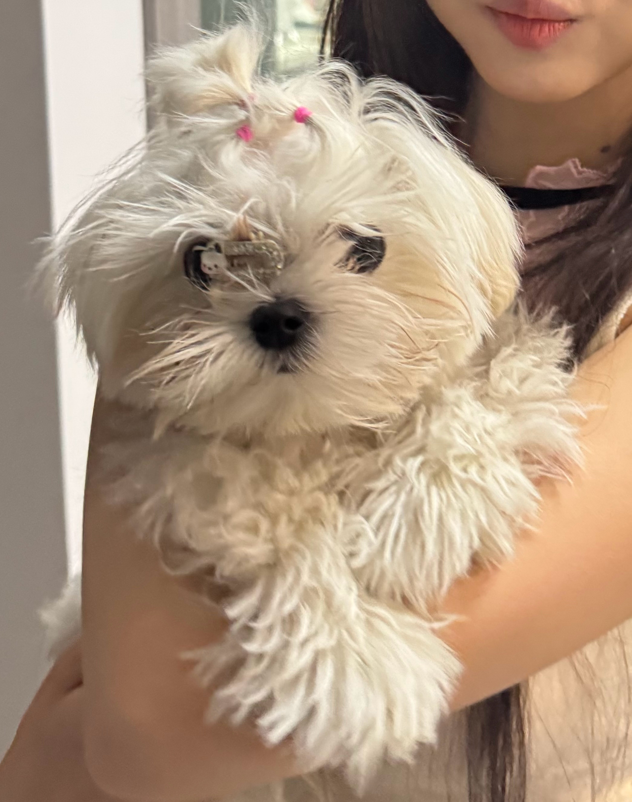 我们小臭木萌晕咯 ​​​