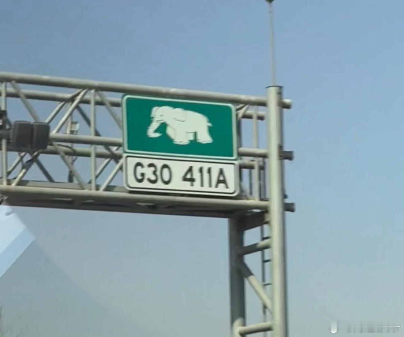 在高速上面有一个大象🐘的标识有没有家人们懂的，这是什么意思