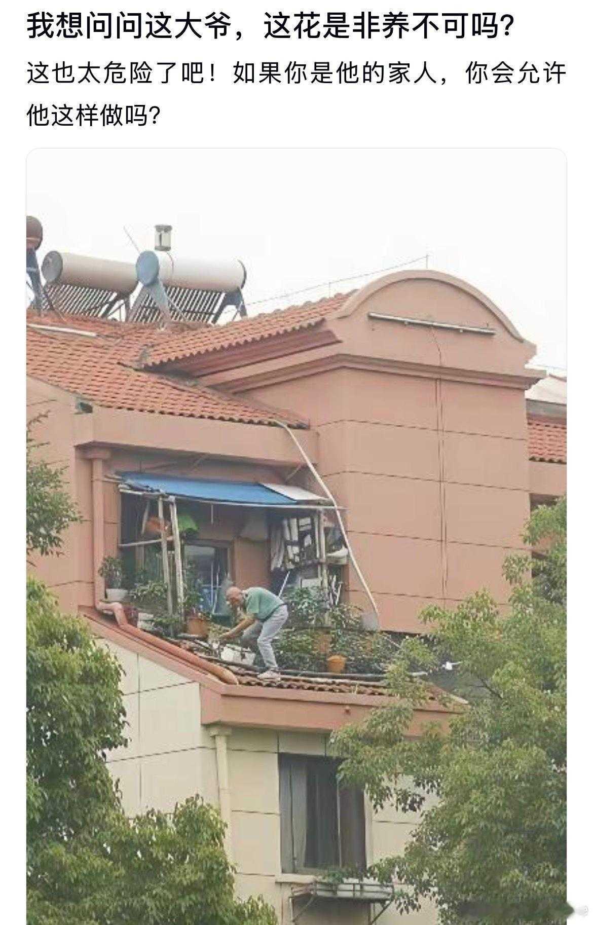 大爷，这花真的非这么养不可吗