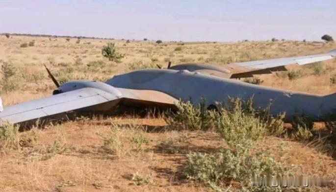 🇸🇩2026年1月8日，苏丹空军快速反应部队在南达尔富尔州尼亚拉附近击落了一