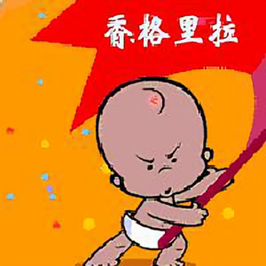 马源华