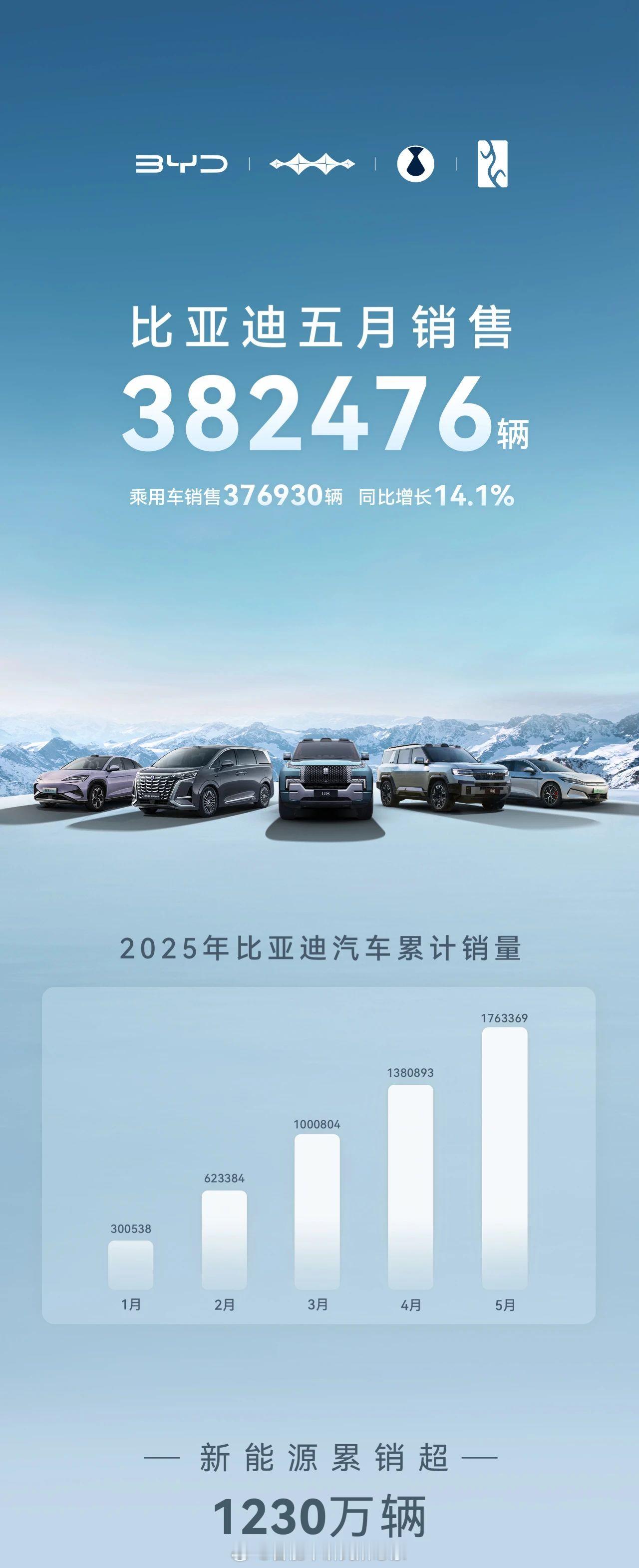 论销量，最可怕还是我迪，其他品牌3w-4w已经是第一梯队，滋润的地步，我迪五月销