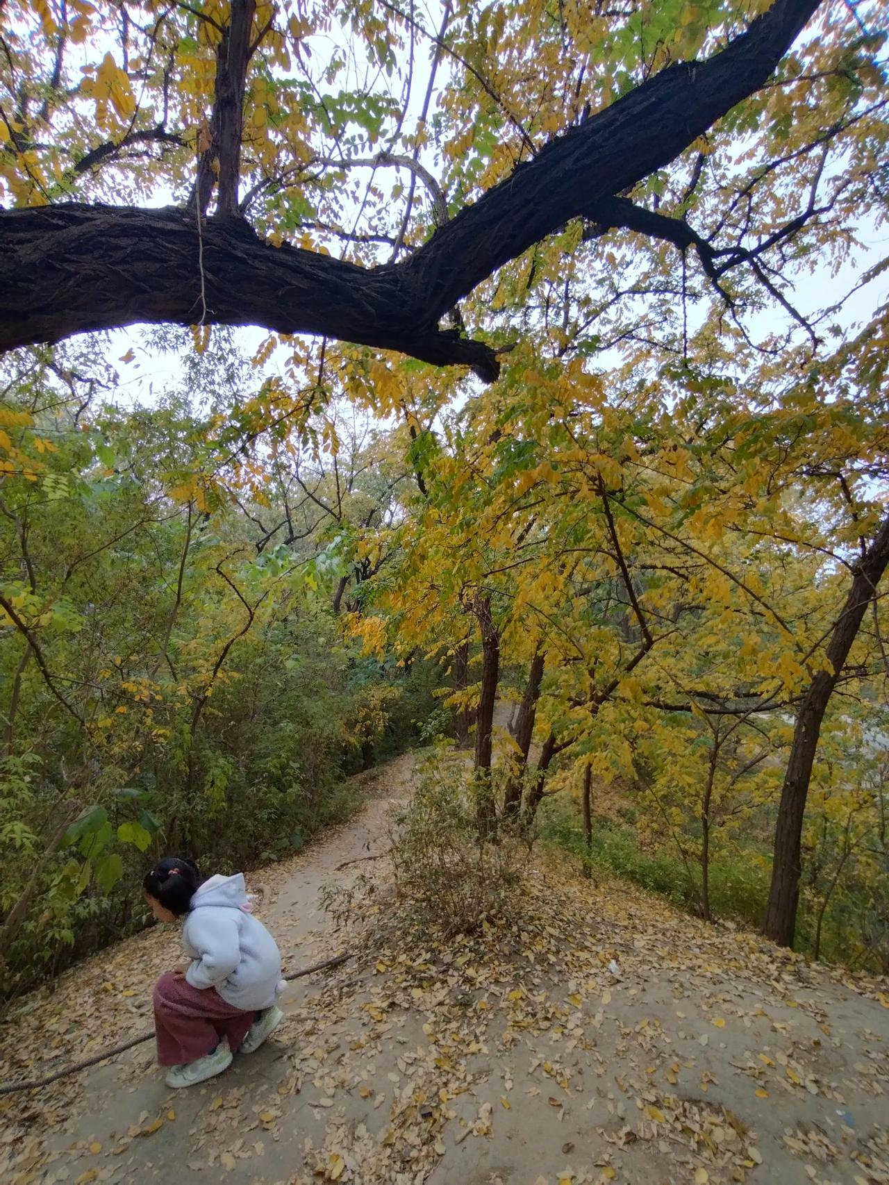 卜算子   闲思
文/李耀海

世态有炎凉，
人老知音少。
唯有乡愁与日增，
情