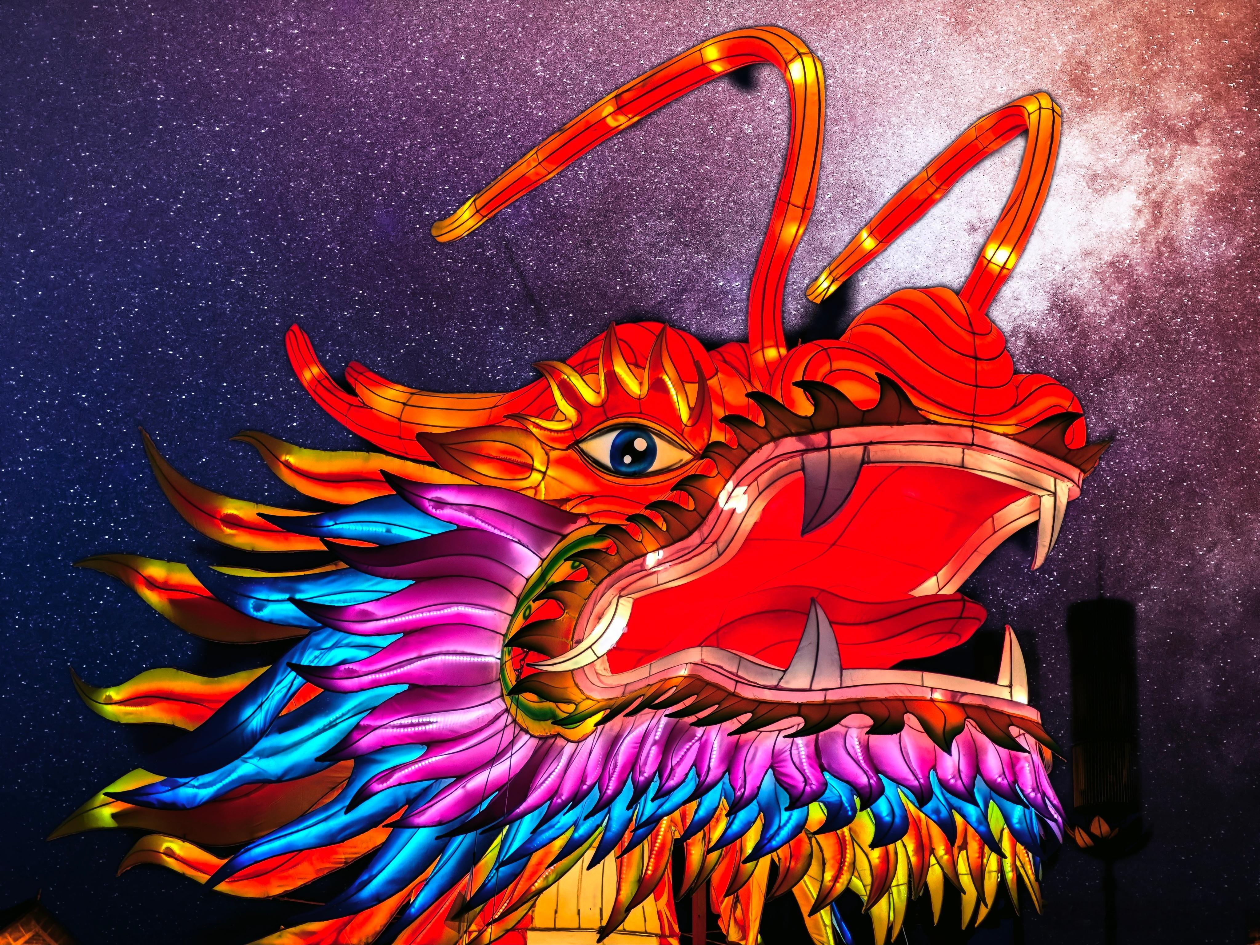龙年正式开工，今年要更加努力！ ​​​