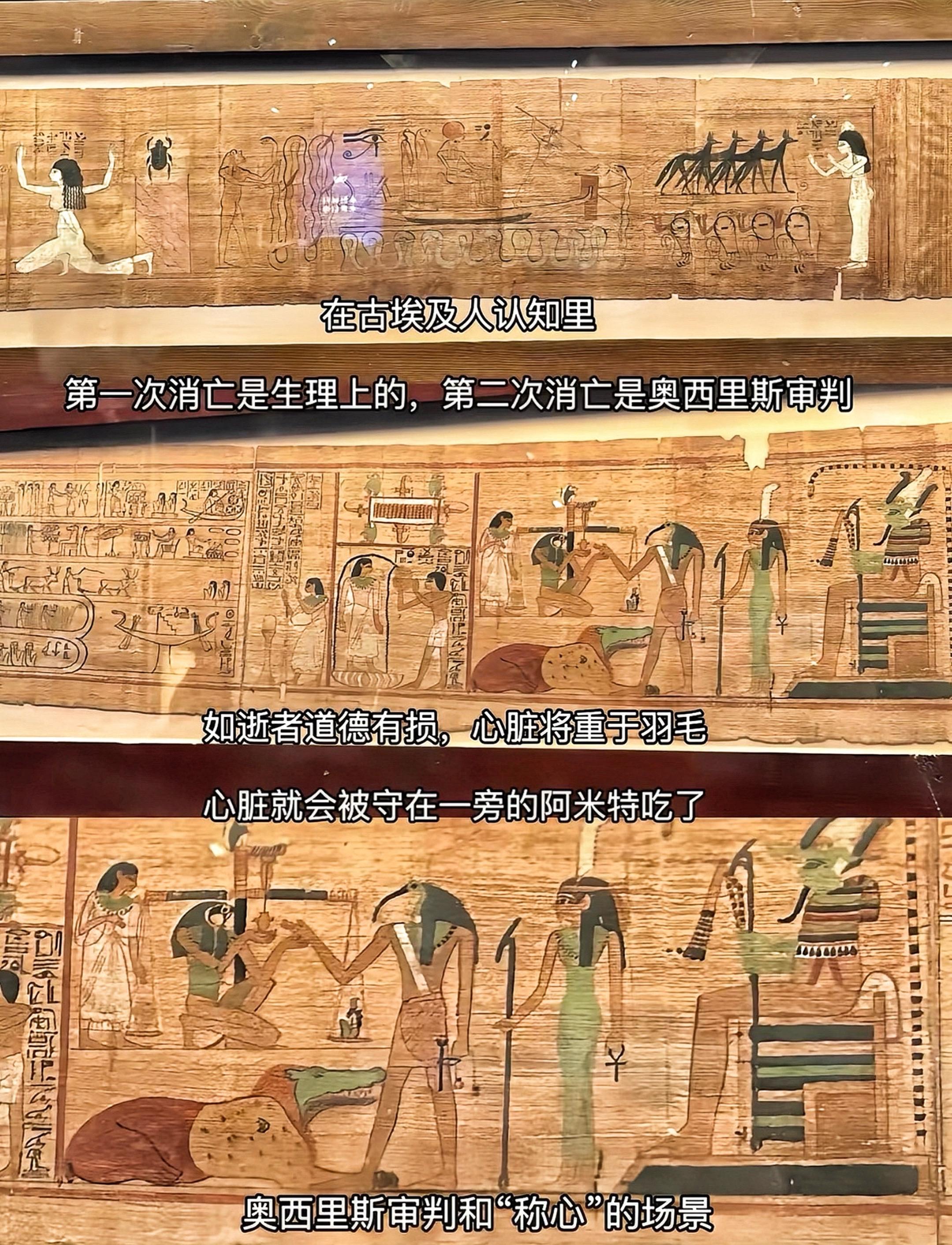 太阳因你而升起，阳光为你而照耀，同饮尼罗河之水，约定来生  古埃及来生...