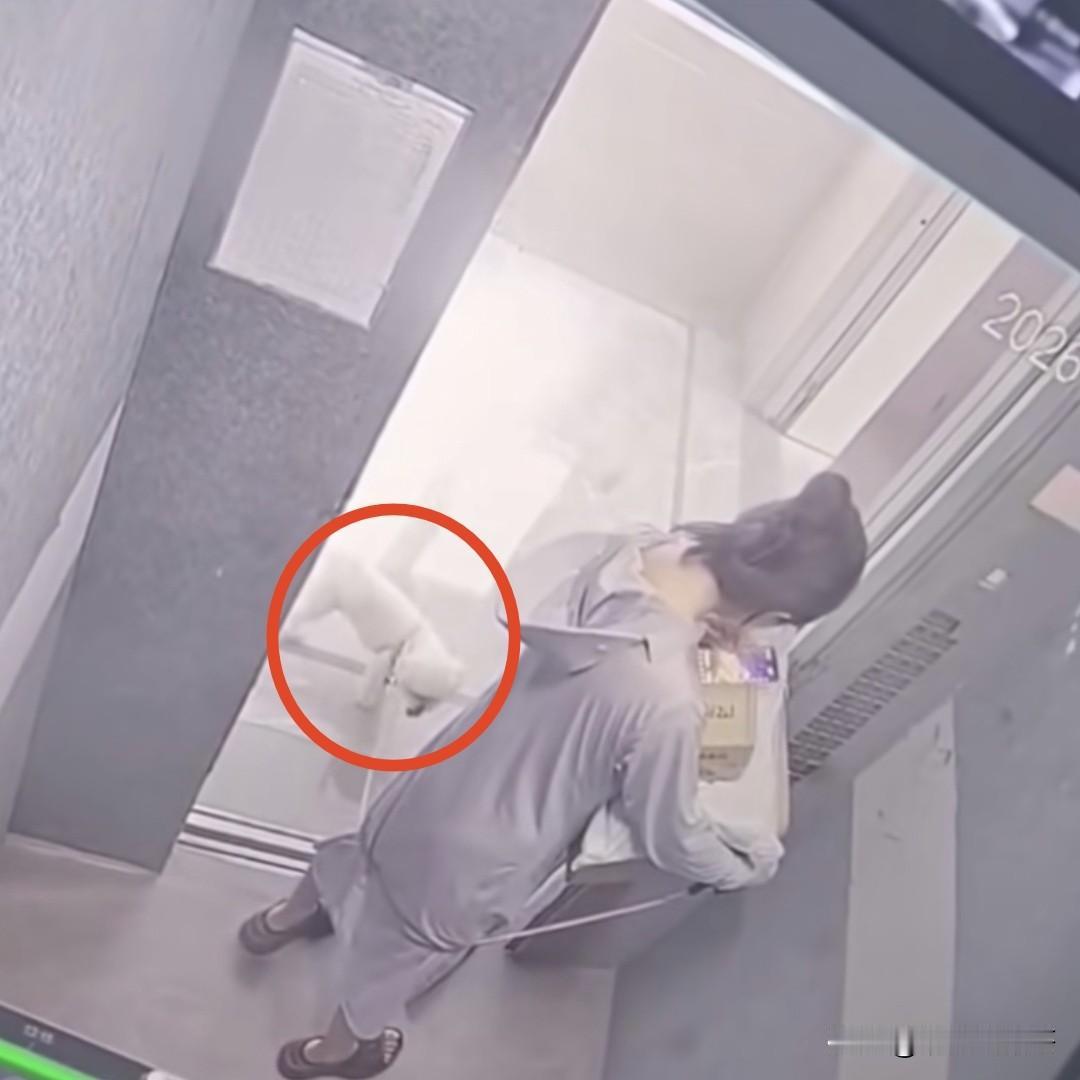 女子带自己的宠物狗下楼刚拿完快递，到了所在的楼层狗狗出了电梯，自己却因为回复手机