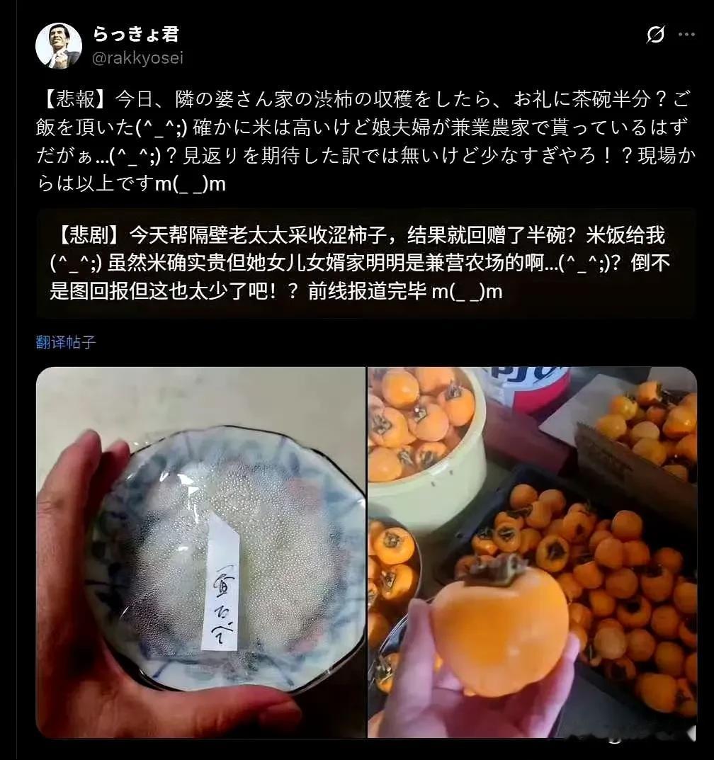 米饭在日本已经变成奢侈品了，有个日本博主称自己帮邻居老太太采收柿子，结果老太太回