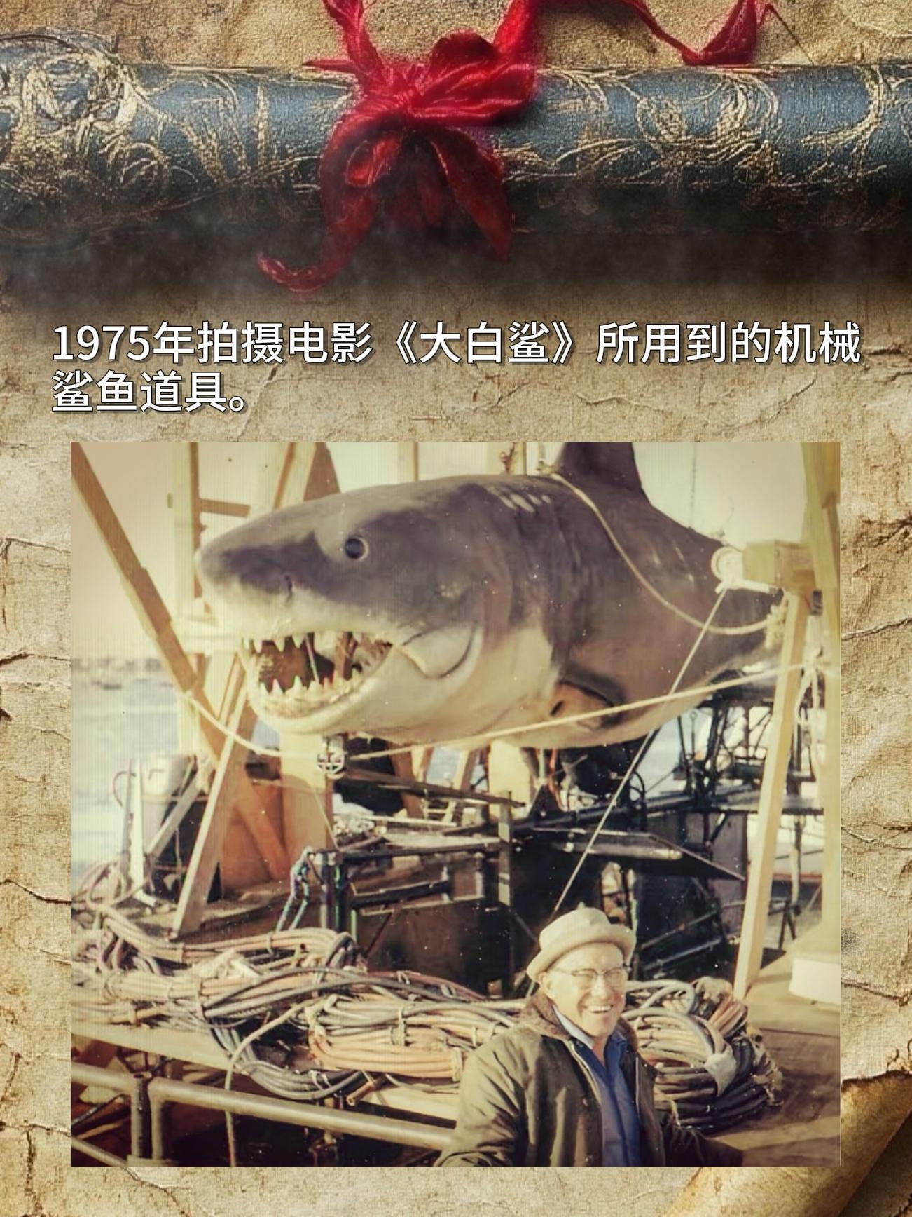 1975年拍摄电影《大白鲨》所用到的机械鲨鱼道具。