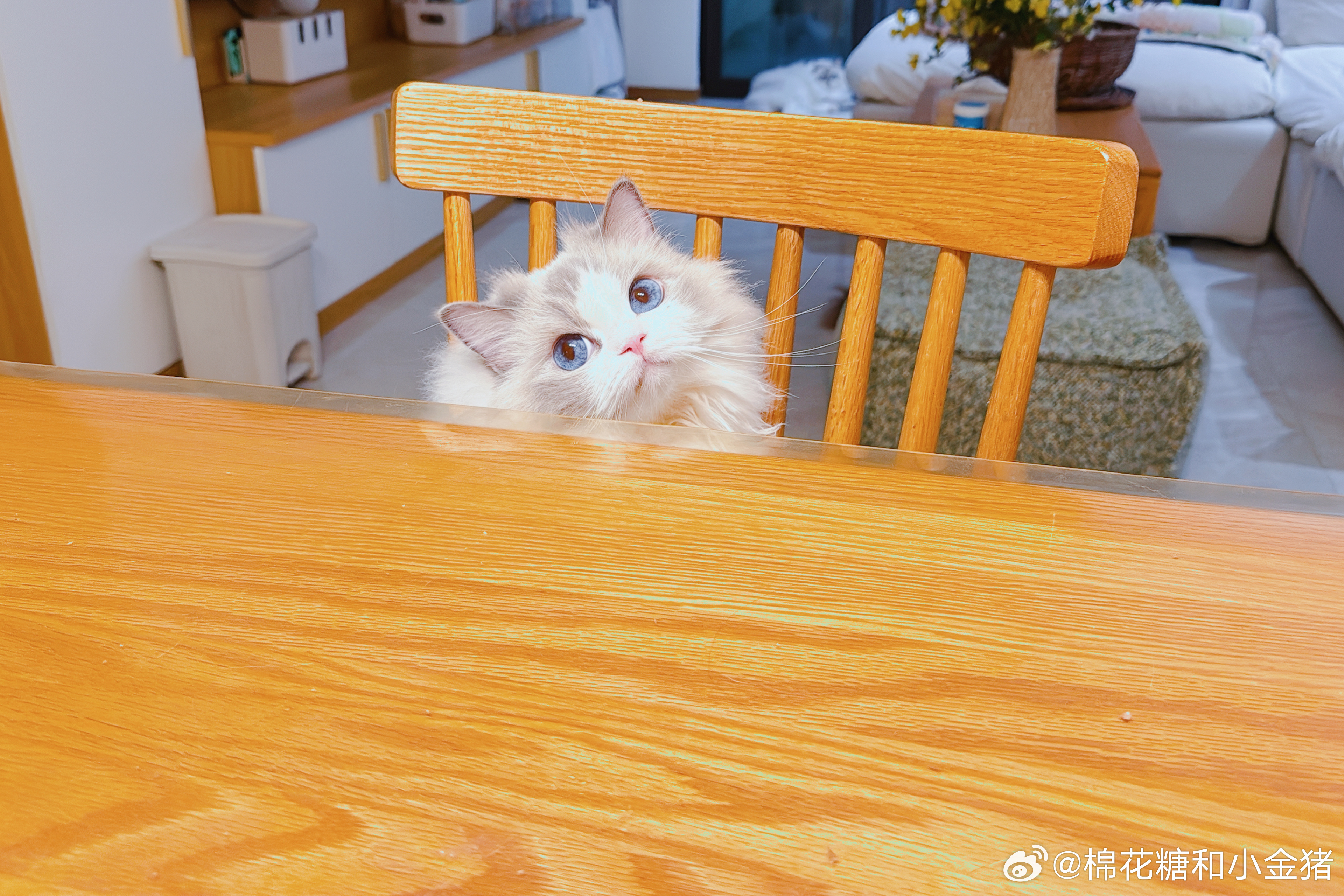你也要吃一口吗？ 
