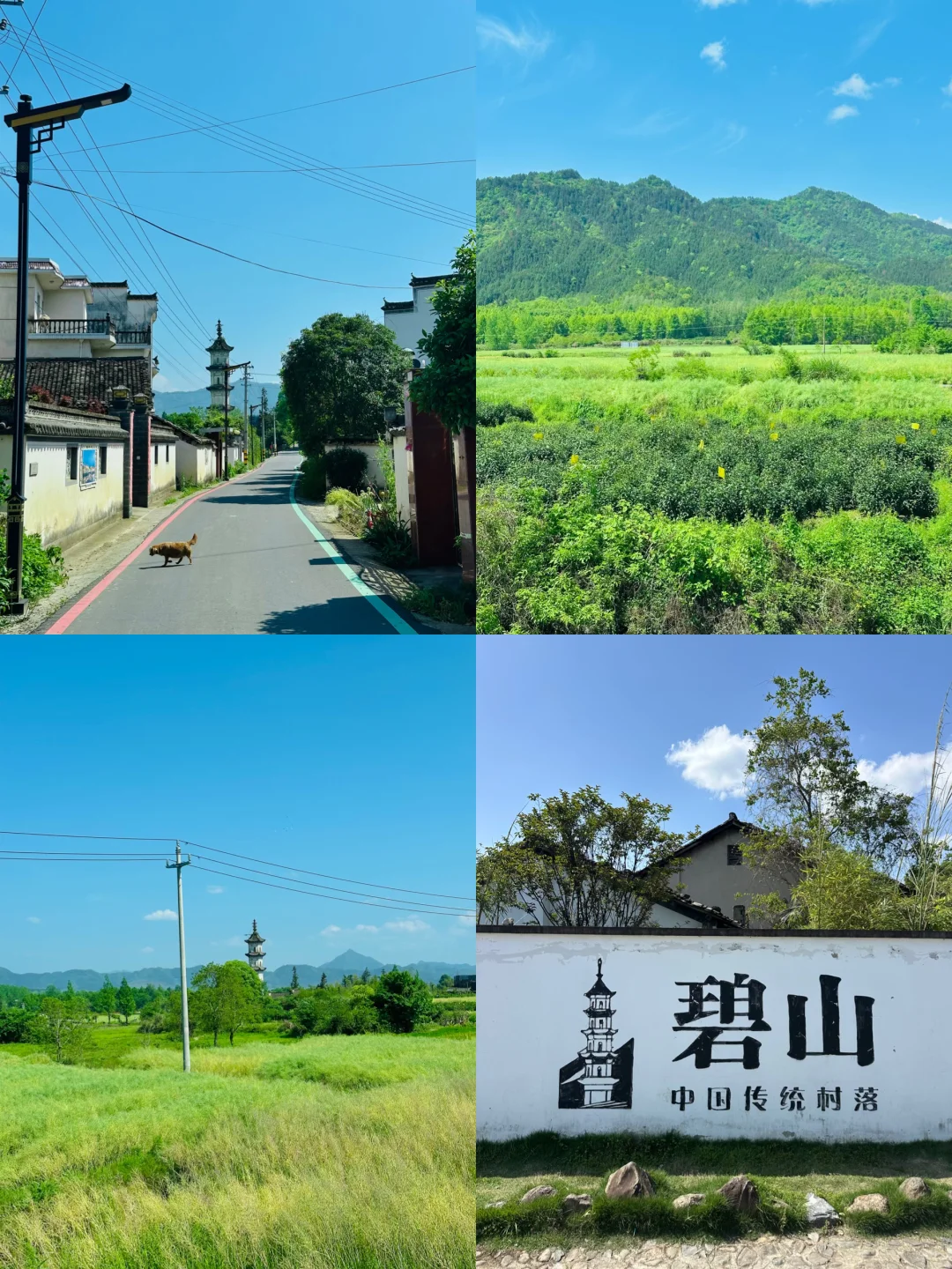 皖南碧山村｜在黄山脚下的无垠山野🍃