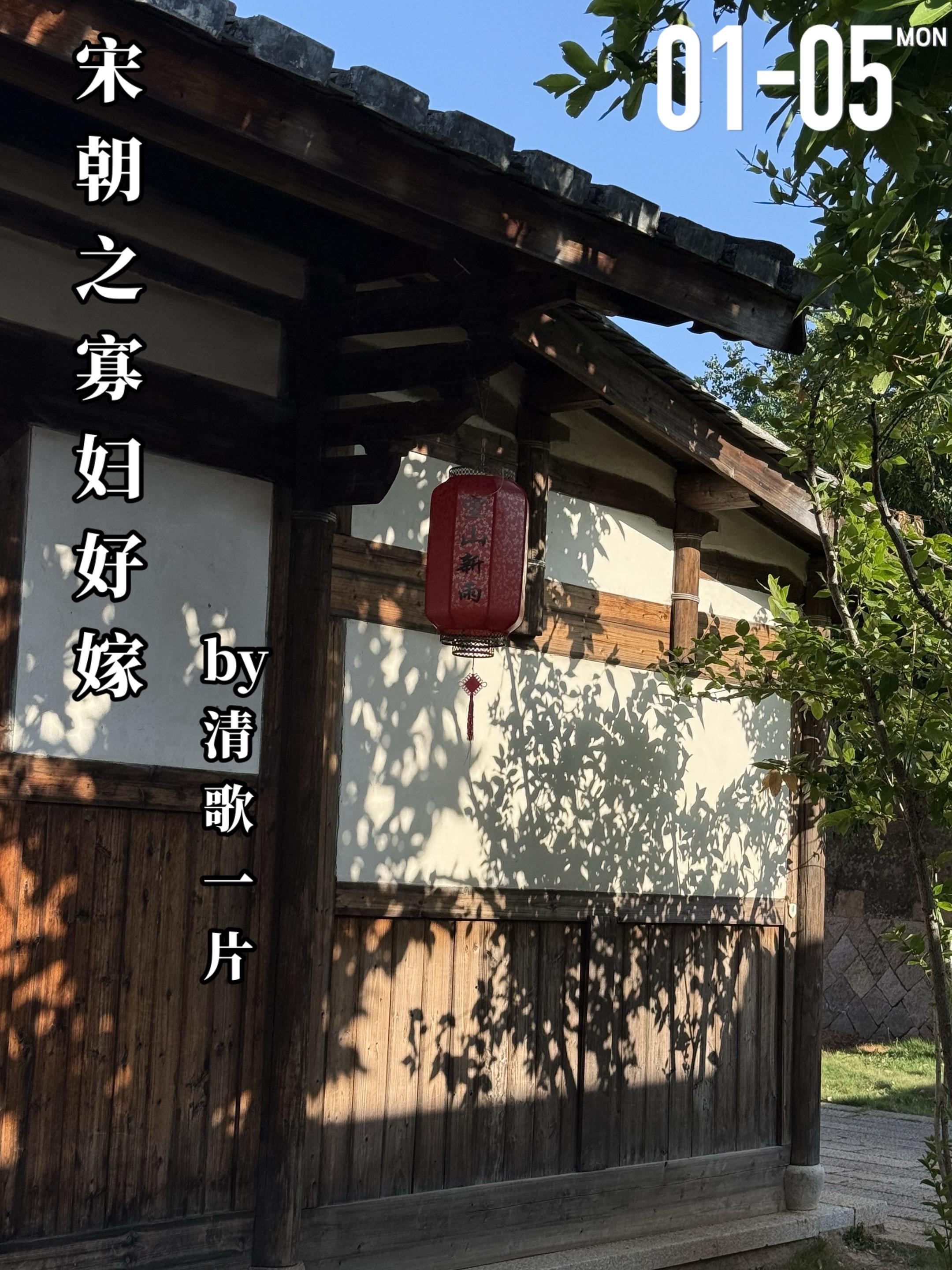 《宋朝之寡妇好嫁》by清歌一片。文淡梅（女主）自现代穿越而来，成了相府...