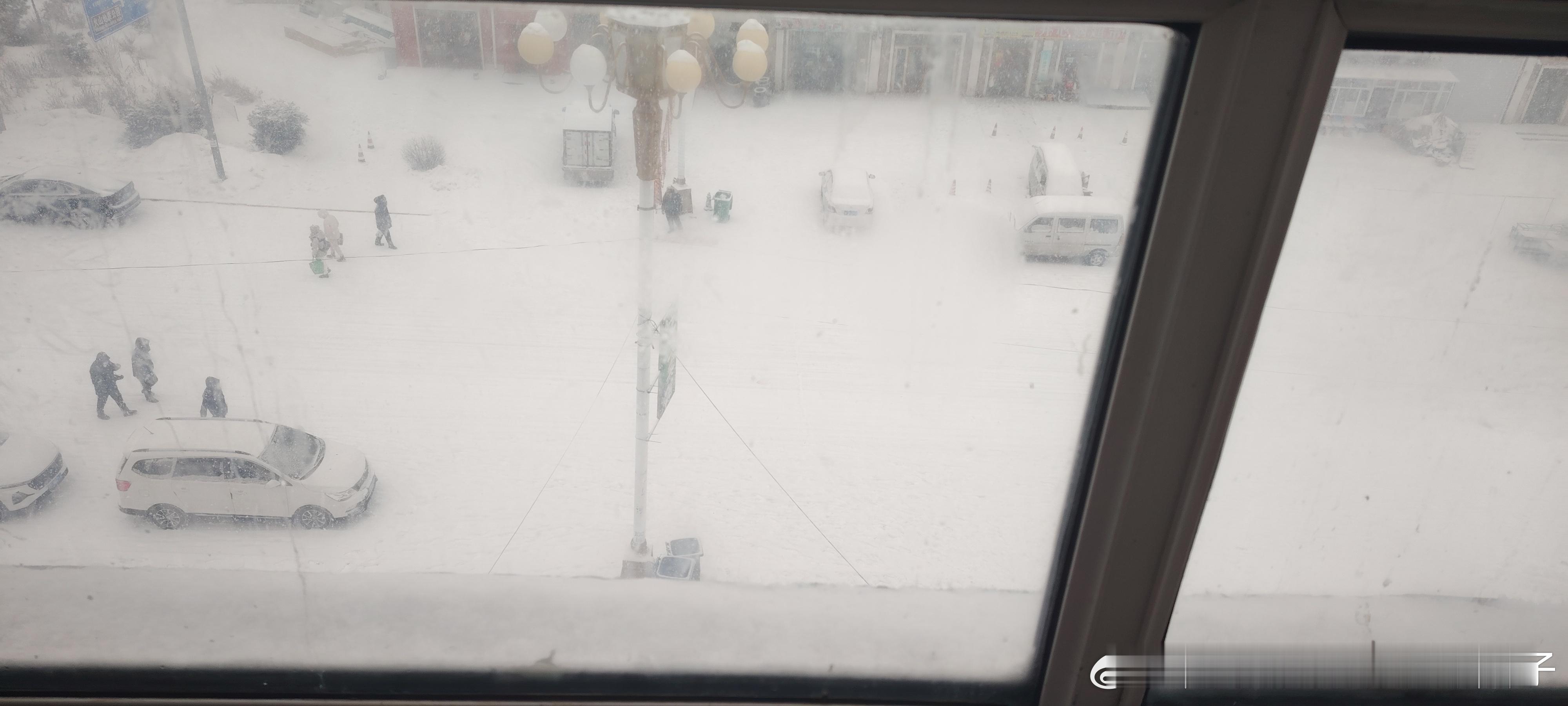 相柳一觉醒来，下大雪了，相柳、奶奶我想你们了。 