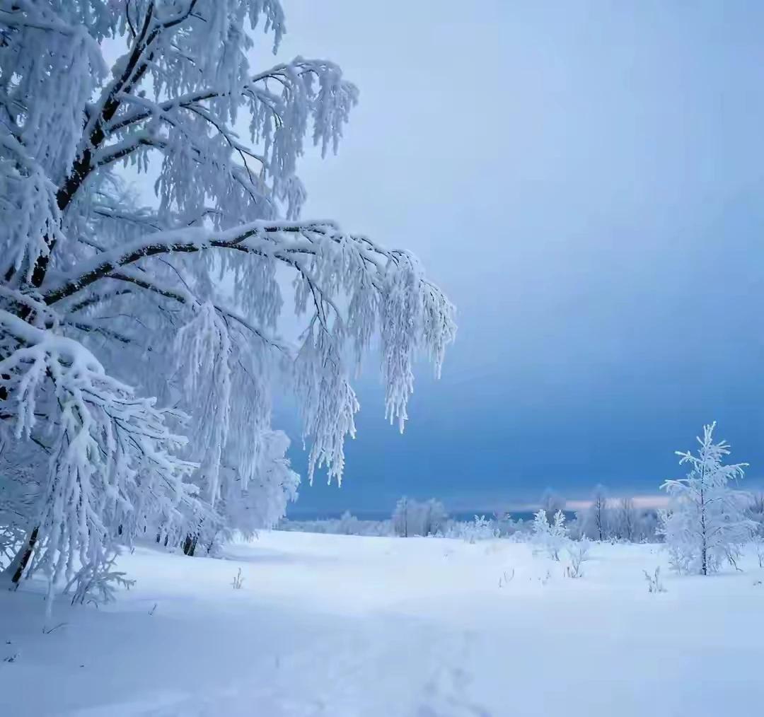 上联：云卷云舒天亦笔
下联：花开花落地为笺