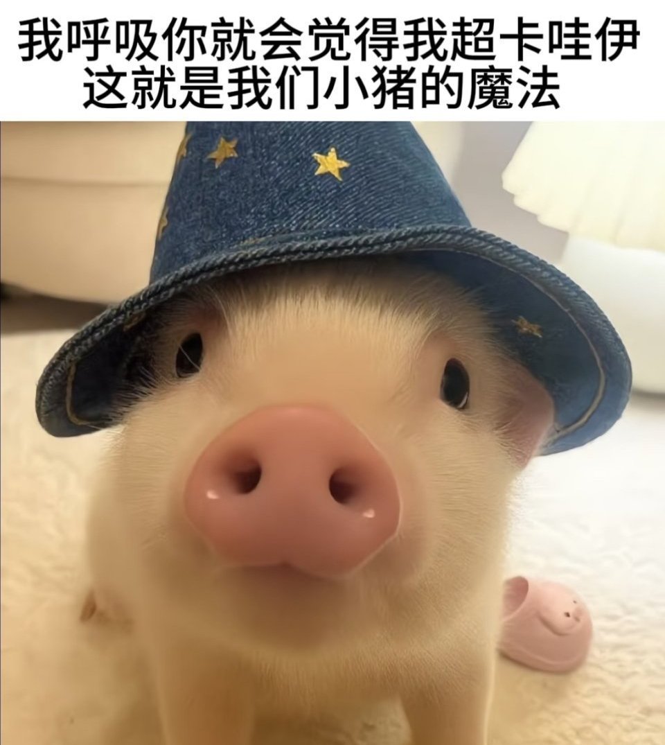 博朗要么一言不发，要么一直发言 