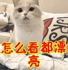 漂亮