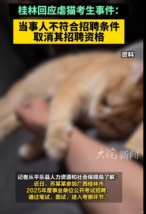质疑虐猫考生漠视生命并非追杀 道德比能力还重要，高能力匹配低素质，出来就是危害社