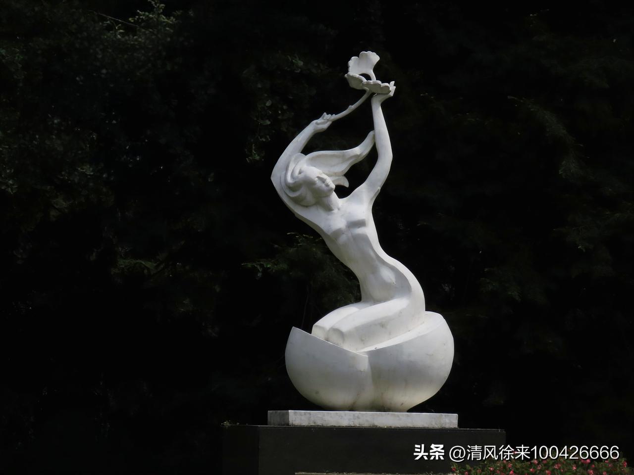 今年春天最想实现的心愿流年有爱，心随花开。