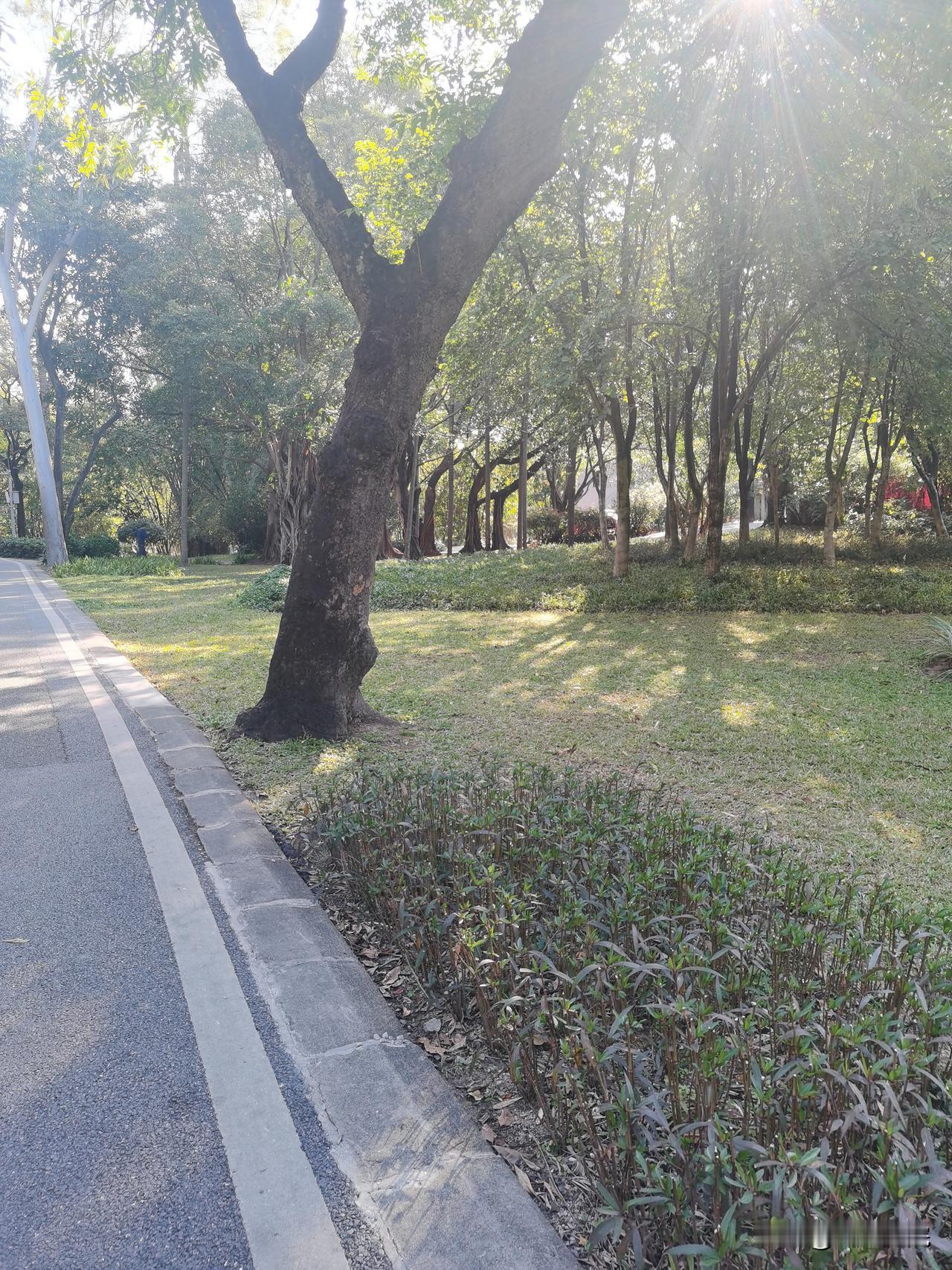 古有四民，士农工商。资本主义社会，变成了商士农工。

“一切向钱看”的一种可能后