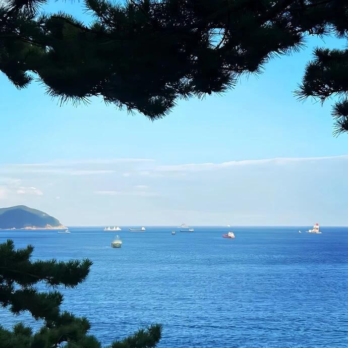 岁月的车轮滚滚向前，碾碎了过往的遗憾，我微笑着迎接新的风景 