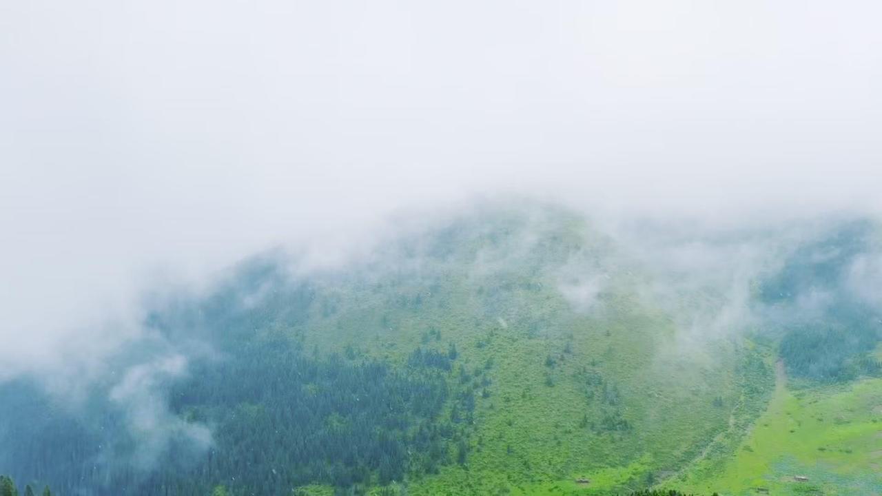 🌿站在开满花的草原上，我仿佛听见风与山脊的对话。平凡日子里的琐碎烦恼，在这片天