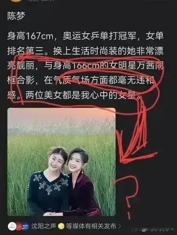 这么比，陈梦是吃了大亏呀！
人家是在比胖瘦，你却偏偏比美丑；
原来没以为万茜有多